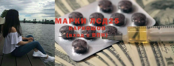 ПСИЛОЦИБИНОВЫЕ ГРИБЫ Алексин