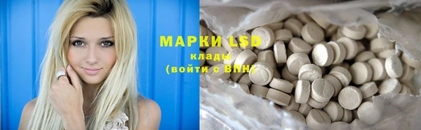 spice Алзамай