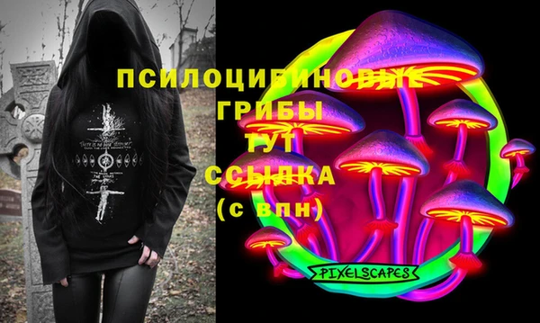 spice Алзамай