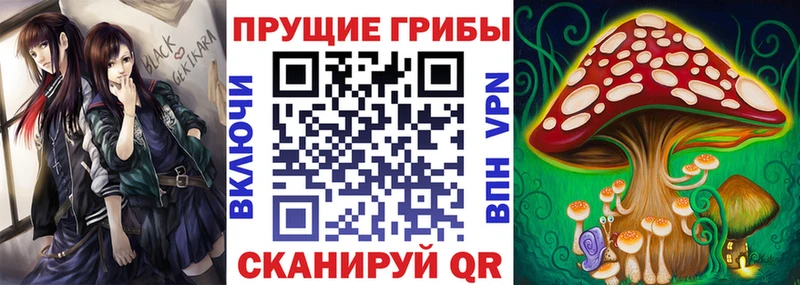 Псилоцибиновые грибы Cubensis Покров
